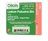 OlloKit Essentials kit with free case - Top 10 Homeopathic Remedies