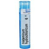 Boiron Histaminum 6c 2 Pack