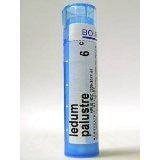Boiron Ledum Palustre 6c 2 Pack